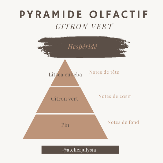 Fondant parfumé Citron vert - 20g de pure bonheur - Les bougies de l'atelier Julysia